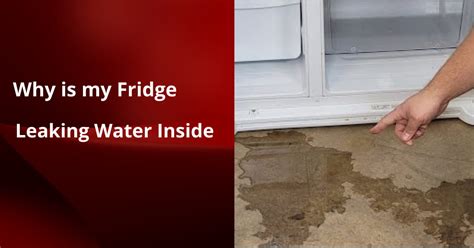 why does my ge refrigerator leak water inside|5 Reasons Why Your GE Refrigerator Leaks Water